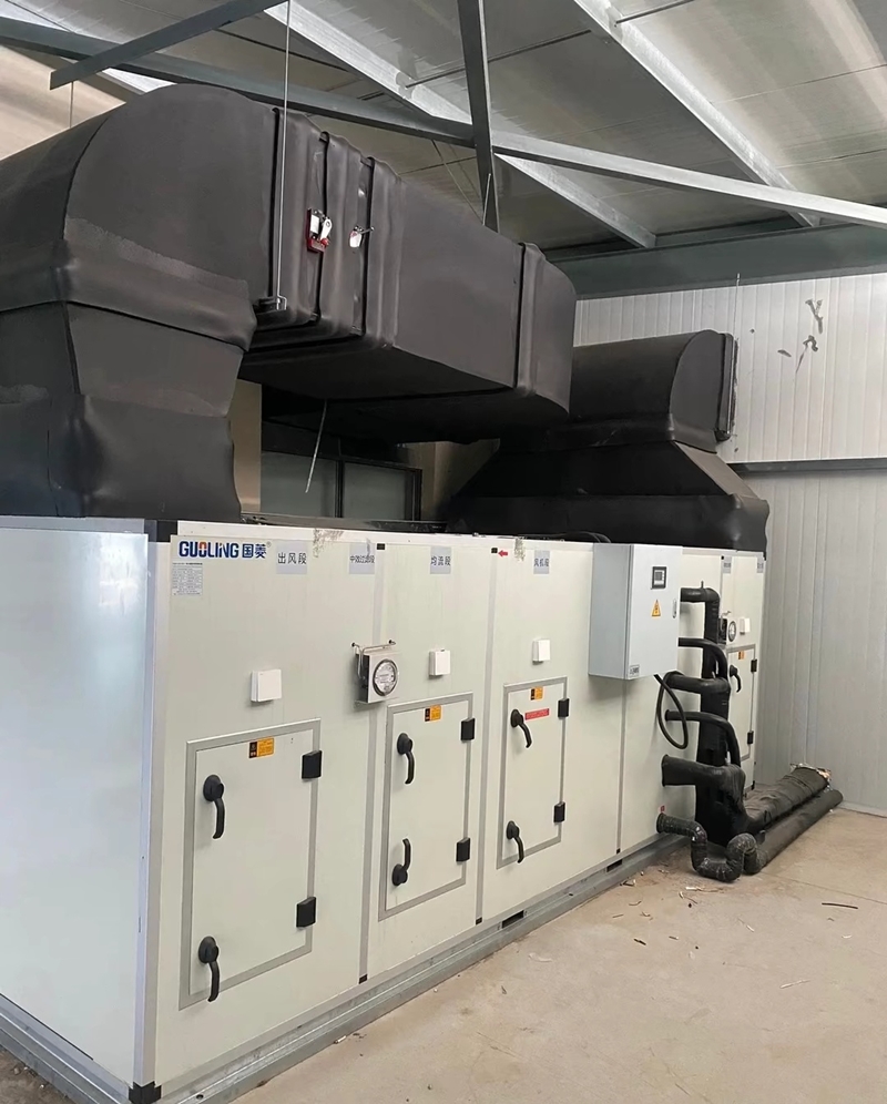 项目完工现场照片 (94)